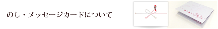 のし・メッセージカードについて