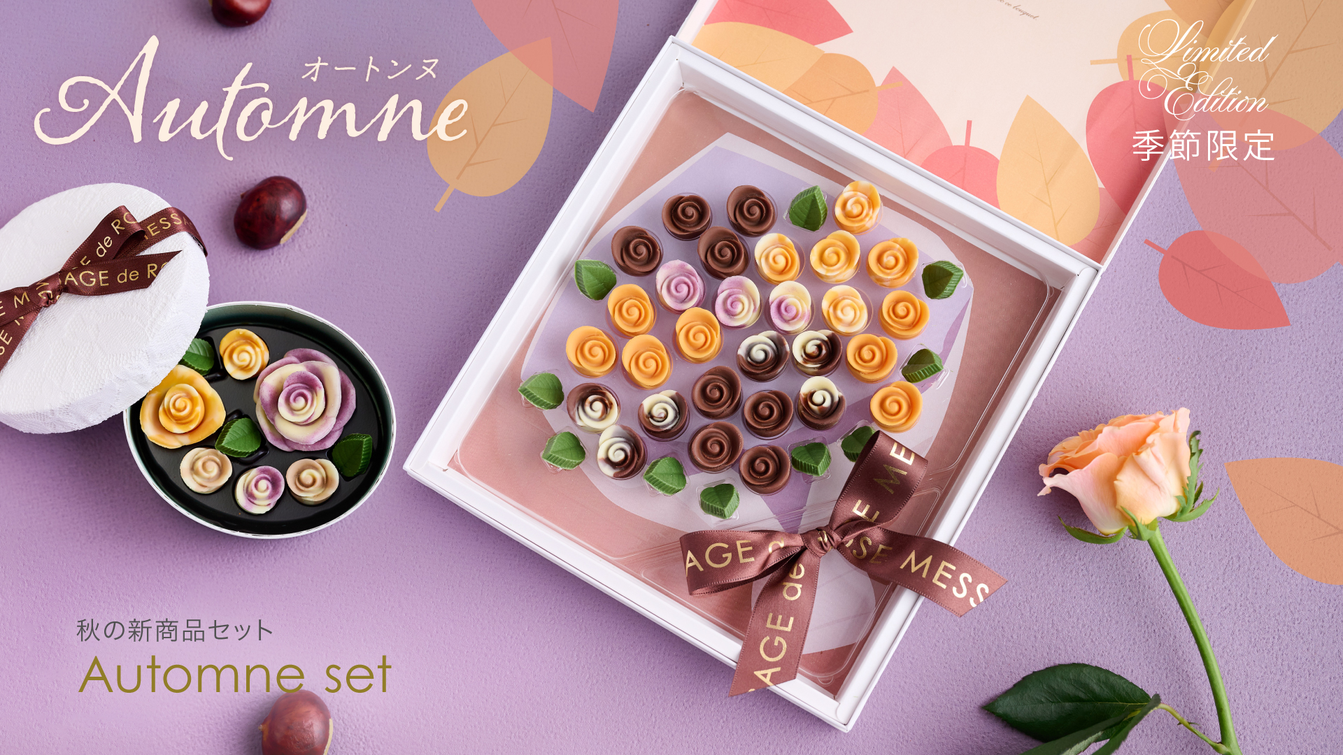 ロモノーソフ ローズ ファべェルジェ （ファバージェ） ポット 2人用