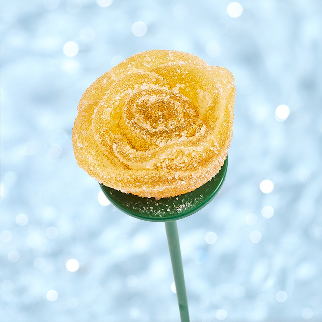 チョコレート,薔薇チョコレート,夏商品,ビジュ,ビジュドローズ